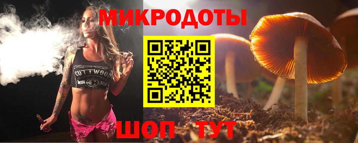 Галлюциногенные грибы GOLDEN TEACHER  Вход с VPN  Галлюциногенные грибы Psilocybine cubensis  Углич 